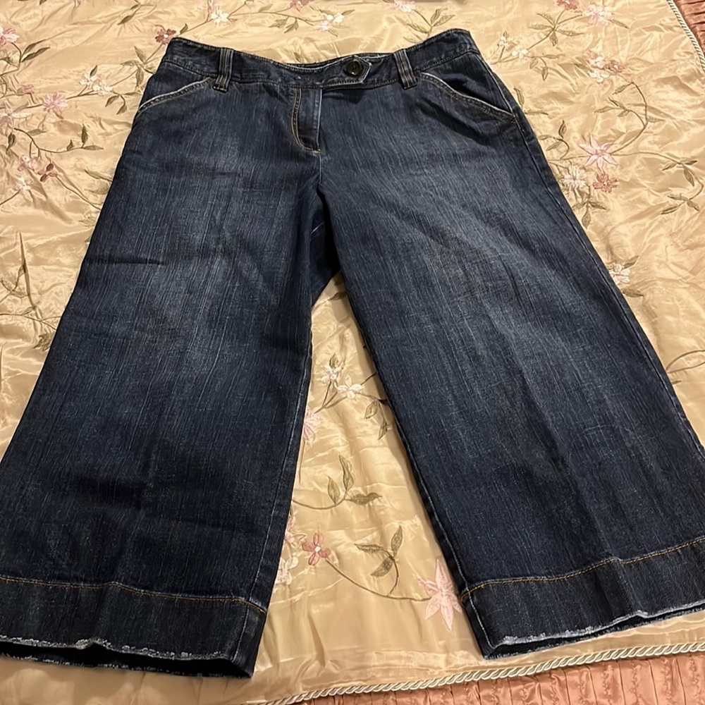 Ann Taylor Distressed Jean Capri